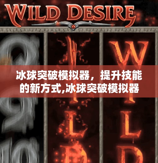 冰球突破模拟器,提升技能的新方式,冰球突破模拟器是什么 冰球突破模拟器,提升技能的新方式,冰球突破模拟器是什么